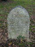 image of grave number 239819